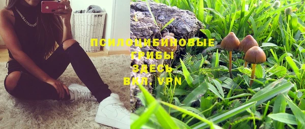 соль ск Богданович