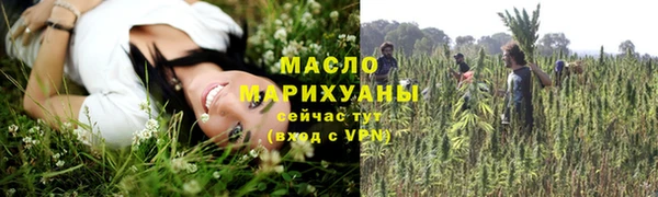 соль ск Богданович