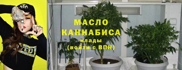 соль ск Богданович