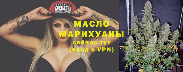 соль ск Богданович