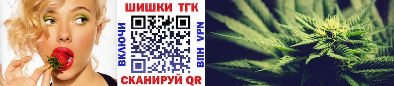 Конопля план omg рабочий сайт Котлас